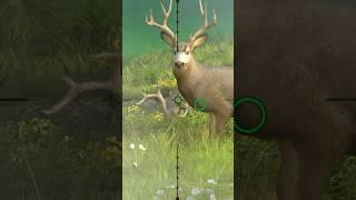 #animalhuntinggames #hunting #deerrun #bowhunting #wildanimalhunting #wildlife #wildanimalgames