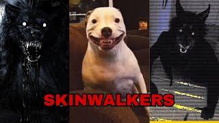 SKINWALKER COMPILATION‼️‼️