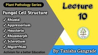 Fungal Cell Structure | Appressorium | Haustoria | Rhizoids | Rhizomorph | Mycorrhizae by Tanisha