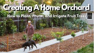 How to Plant, Prune, and Irrigate Fruit Trees  EVERYTHING YOU NEED TO KNOW