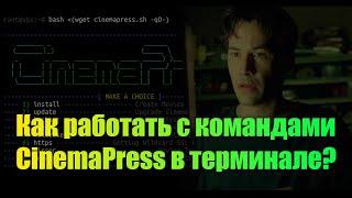 Как работать с командами CinemaPress в терминале SSH?