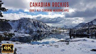 Hiking Sunshine Meadows 4K - Banff National Park - Canadian Rockies #sunshinemeadows