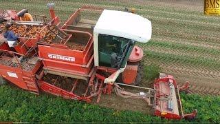 Möhren roden mit Grimme Selbstfahrer SF 170-60- ernten - Möhrenernte Niedersachsen - beet harvester