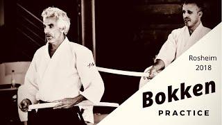 Aikido - Bokken practice by Bruno Gonzalez