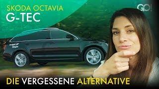 Skoda Octavia G-Tec | Cyndie Allemann testet