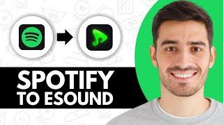 How to Transfer Spotify Playlist to eSound (2024)