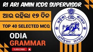 RI Amin Classes || Odia Classes for osssc || Odia Grammar Top 40 MCQ for ri ari amin