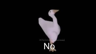 Dancing goose/duck meme