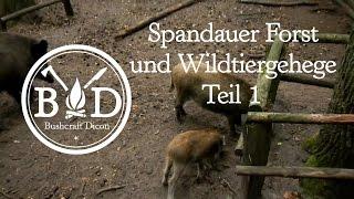 Bushcraft Dicon on Tour - Spandauer Forst Teil 1