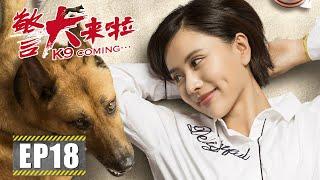 【励志】《警犬来啦 K9 Coming》第18集——顺利解救被拐儿童 方所终于求婚成功