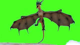 Dragon  Green Screen  VFX Effect  Croma key ️ No Copyright ©️ #greenscreen #vfx #chromakey