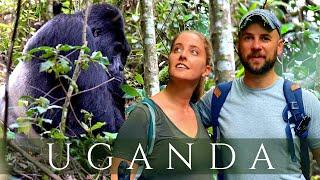 GORILLA Trekking Uganda 