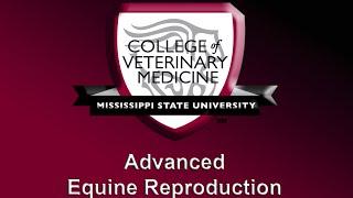 Advanced Equine Reproduction