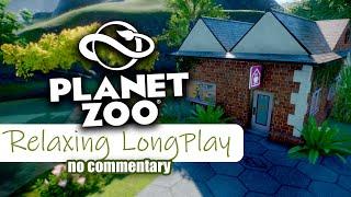 (No Commentary) RELAXING PLANET ZOO LONGPLAY | Chill Gameplay Only ASMR for Sleep or Work