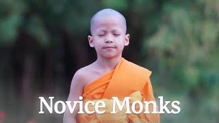 How to Train Oneself | The Life of NOVICE Monks