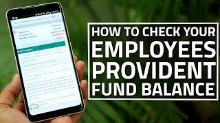 How to Check Your Employees' Provident Fund Balance