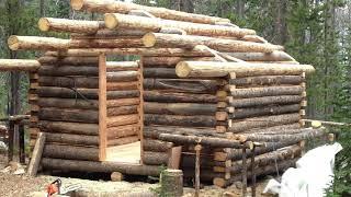 Remote Wilderness Cabin Build