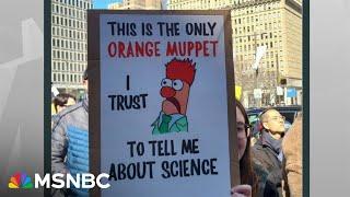 American scientists take to the streets to protest Trump's cuts