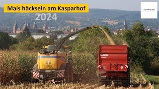 Mais häckseln am Kasparhof | Maisernte Maisfieber 2024 | Alex E