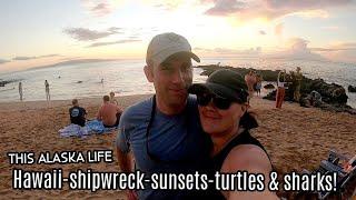 AMAZING UNDERWATER TURTLE FOOTAGE! Hawaii Vacation Continued