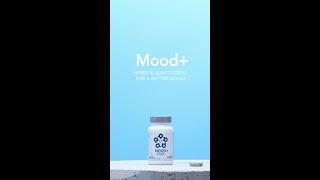 Mood Plus with Dr  Shawn Talbott