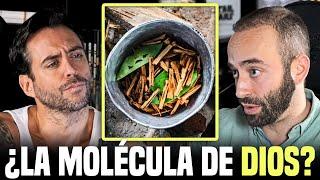 Científico experto en drogas explica la AYAHUASCA de forma realista y sin misticismo