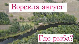 ВОРСКЛА август 2021. Где рыба? Подводная охота, попытка.