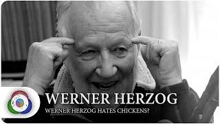 Werner Herzog Hates Chickens?