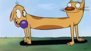 Catdog capitulo 1 (1/2)