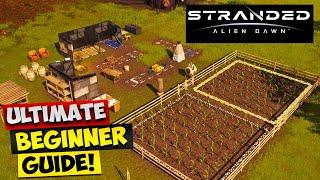 Stranded Alien Dawn - ULTIMATE BEGINNER GUIDE!