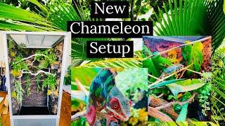 Setting Up My New Chameleon Enclosure