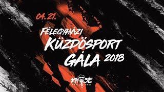 Félegyházi Küzdősport Gála | LIVE STREAM