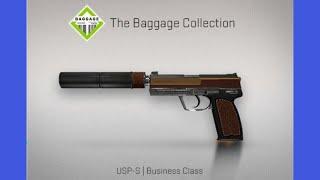 Крафт USP-S | Бизнес класс (ПРЯМО С ЗАВОДА) Business Class FN Baggage collection