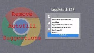Remove Chrome Autofill Suggestions