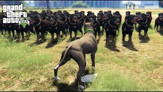 100 DOGS VS 1 PITBULL!!! (GTA 5 REAL LIFE PC MOD)