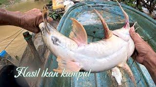 Jual hasil ikan kumpul-kumpul