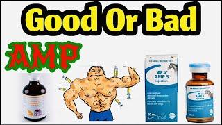 Truth About AMP | what is AMP | AMP really work in muscle building or not full explained