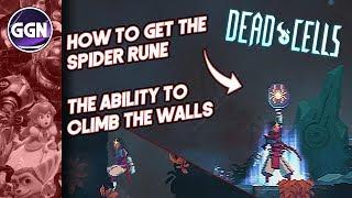 How to get the Spider Rune | the Ability to climb the walls | Dead Cells