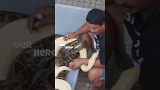 Snake vs Ducks: Man's Quick Action Saves the Day!20250101 #SnakeVsDucks #WildlifeRescue #AnimalHero