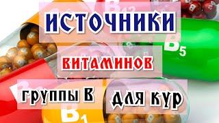 Простые и богатые источники витаминов группы В для кур