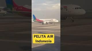 PELITA AIR SERVICE Arrived at Soekarno Hatta Airport #pelitaair #indonesia #pertamina #jakarta