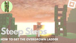 How to get the OVERGROWN LADDER and BADGE in Steep Steps | Roblox