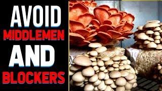 Blockers and Middlemen will take you Out of Mushroom Growing Business/ How to avoid them?