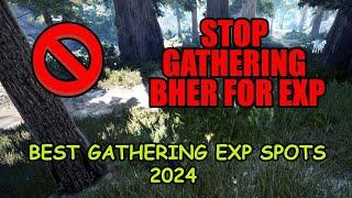 BEST GATHERING EXP SPOTS | Black desert online