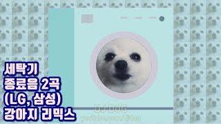 Washing Machine Song (LG, SAMSUNG) Gabe the Dog Remix