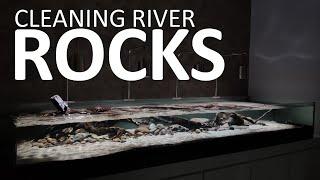 Stream Tank - Cleaning River Rocks [Tutorial]