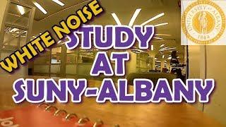 [White Noise] Study at UAlbany library [백색소음] 뉴욕주립대 도서관