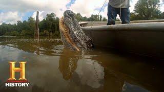 Swamp People: Willie is a One-Man Gator Master (Season 8) | History