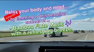 Relax your body and mind by listening to these beautiful sounds of.... #bambooflute #subscribe