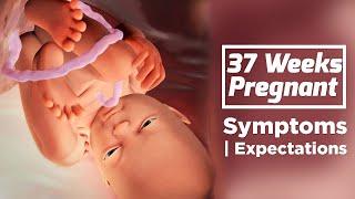 37 Weeks Pregnant Signs Of Labor | Pregnancy Week By Week Symptoms | The Voice Of Woman